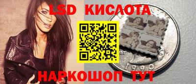 spice Ярославль